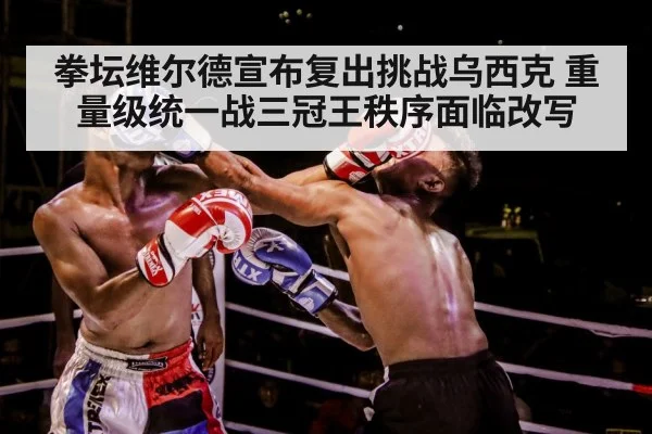 boxer training gloves